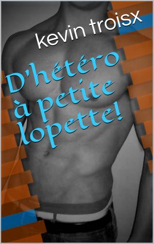 Book cover of D'hétéro à petite lopette!