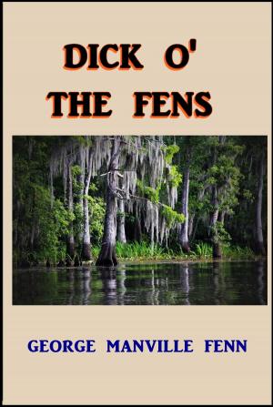 Cover of the book Dick O' the Fens by Evelyn Raymond