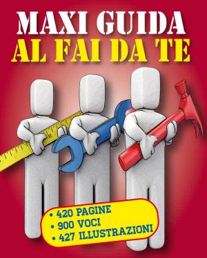 Book cover of MAXI GUIDA al Fai da te