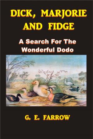 Book cover of Dick, Marjorie, and Fidge