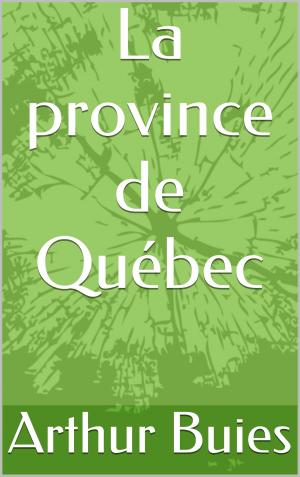 Cover of the book La province de Québec by Saint-Just
