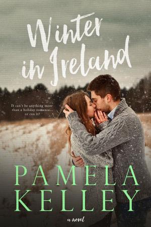 Book cover of Winter in Ireland