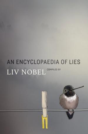 Cover of the book An Encyclopaedia of Lies by Mark Fine