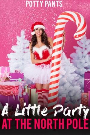 Cover of the book A Little Party at the North Pole by Brock Johnson