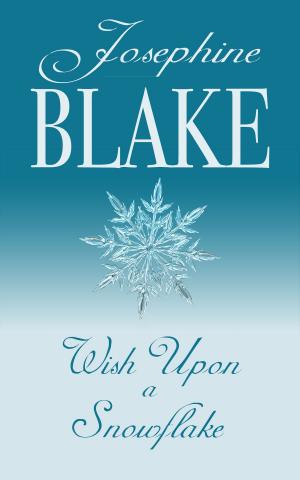 bigCover of the book Wish Upon a Snowflake by 