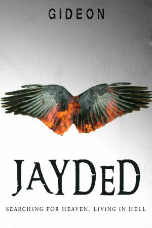 bigCover of the book Jayded by 