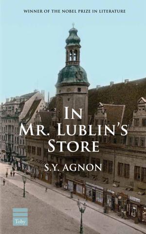 Book cover of In Mr. Lublin's Store