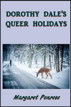 Book cover of Dorothy Dale's Queer Holidays