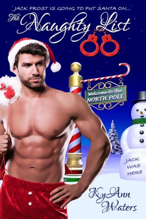 Cover of the book The Naughty List by KyAnn Waters
