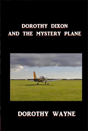 Cover of the book Dorothy Dixon and the Mystery Plane by George Manville Fenn