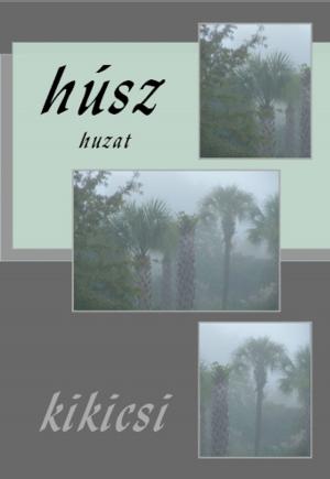 bigCover of the book húsz by 