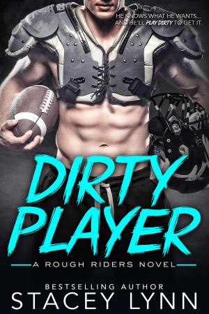 Cover of the book Dirty Player by Terry Newman