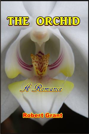 Cover of the book The Orchid by Rolf Boldrewood