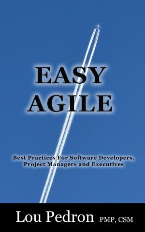Cover of the book EASY AGILE by Carlos Damski