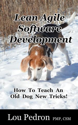 bigCover of the book Lean Agile Software Development by 
