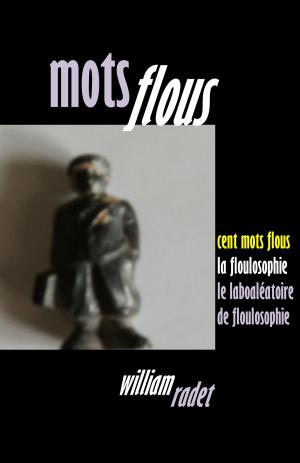 Book cover of Mots flous