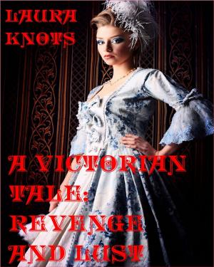 Book cover of A Victorian Tale: Revenge and Lust