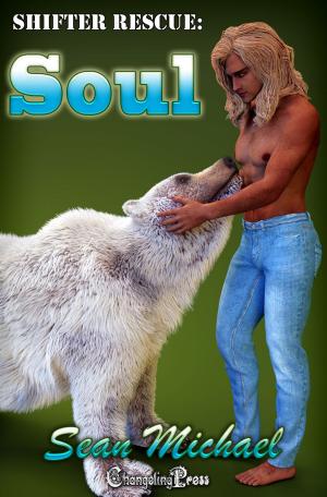 Cover of the book Soul by Cassidy McKay