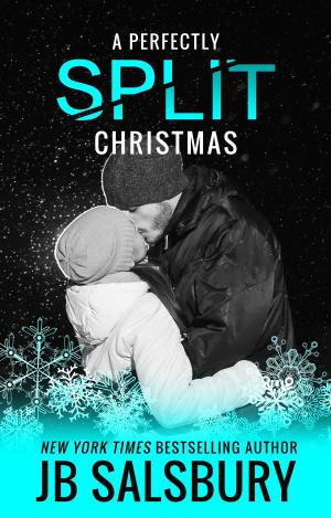 Book cover of A Perfectly Split Christmas