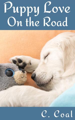 Book cover of Puppy Love On the Road
