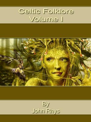 bigCover of the book Celtic Folklore: Welsh And Manx, Volume I by 