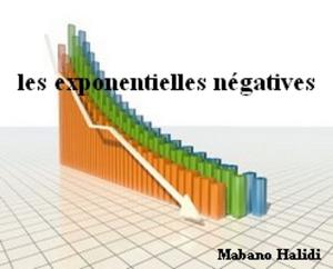 Cover of the book Les exponentielles négatives by Abdul Ghani M V