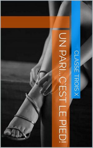 Cover of the book Un pari...c’est le pied! by raphael class