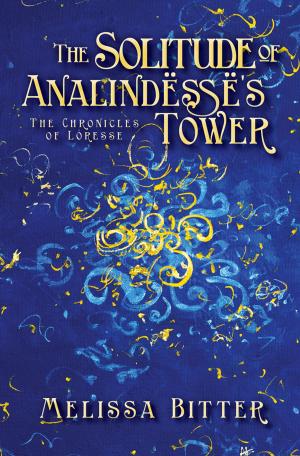 Cover of the book The Solitude of Analindesse’s Tower by Nathan T. Scott