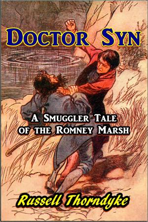 Cover of the book Doctor Syn by Johann Scheibel
