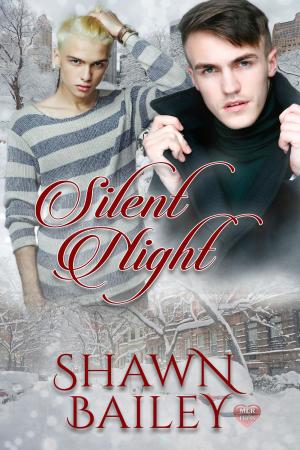 Cover of the book Silent Night by Mark Zubro