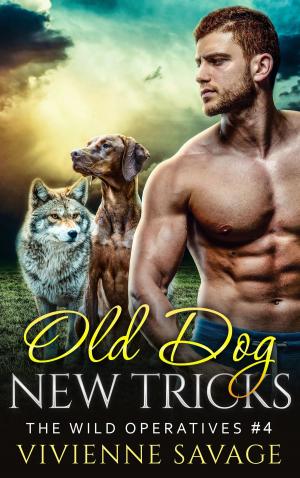 Cover of the book Old Dog, New Tricks by Lynne Connolly