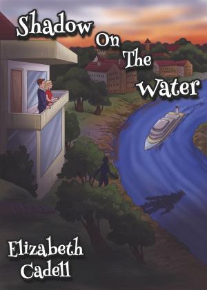 Book cover of Shadow on the Water