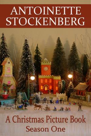 Cover of the book A Christmas Picture Book: Season One by Antoinette Stockenberg