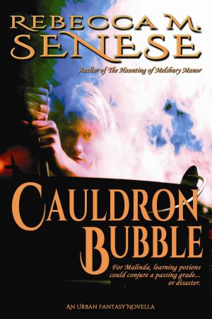 Book cover of Cauldron Bubble