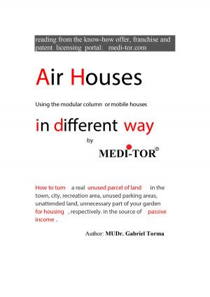 bigCover of the book Air Houses in different way by MEDI-TOR by 