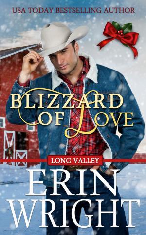 Book cover of Blizzard of Love