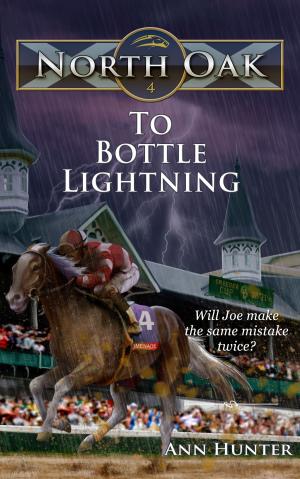 Book cover of To Bottle Lightning