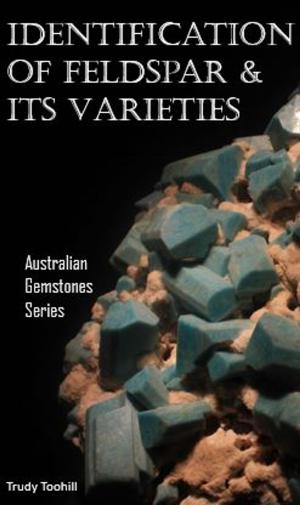Book cover of Identification of Feldspar and Its Varieties