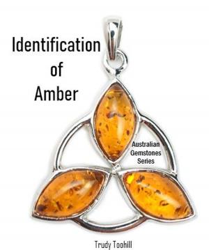 Cover of the book Identification of Amber by Trudy Toohill