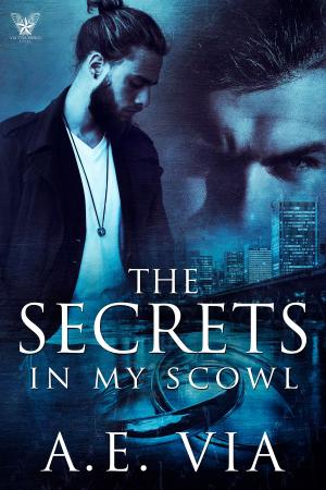Cover of the book The Secrets in my Scowl by Stephanie A. Cain