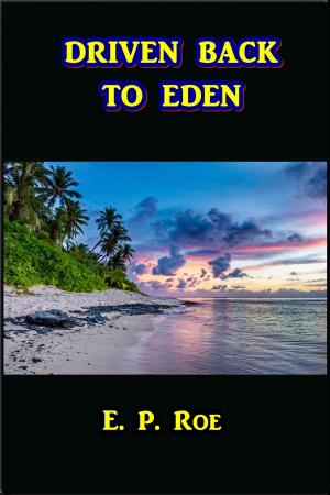 Cover of the book Driven Back to Eden by Temple Bailey
