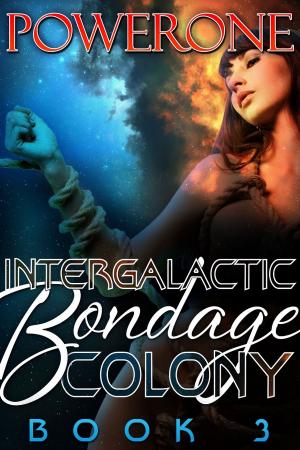 Cover of the book INTERGALACTIC BONDAGE COLONY, BOOK 3 by Powerone