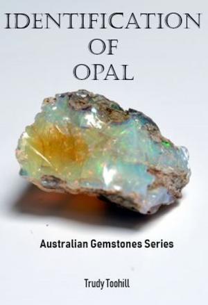 Cover of the book Identification of Opals by Colm Keane, Una O'Hagan