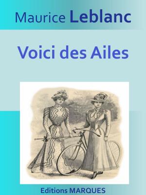 Book cover of Voici des Ailes