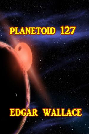 bigCover of the book Planetoid 127 by 