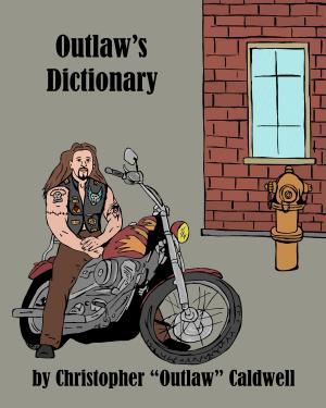 Cover of the book Outlaw's Dictionary by Valerie Vonroe