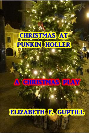 Cover of the book Christmas at Punkin Holler by Burt L. Standish