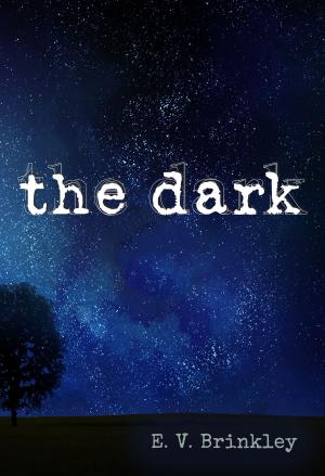Cover of the book the dark by L. M. McCall