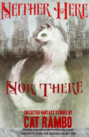 Book cover of Neither Here Nor There