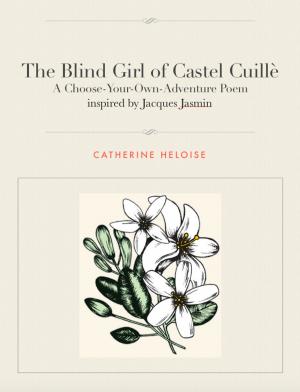 Book cover of The Blind Girl of Castel Cuillè: A choose-your-own-adventure poem inspired by Jacques Jasmin